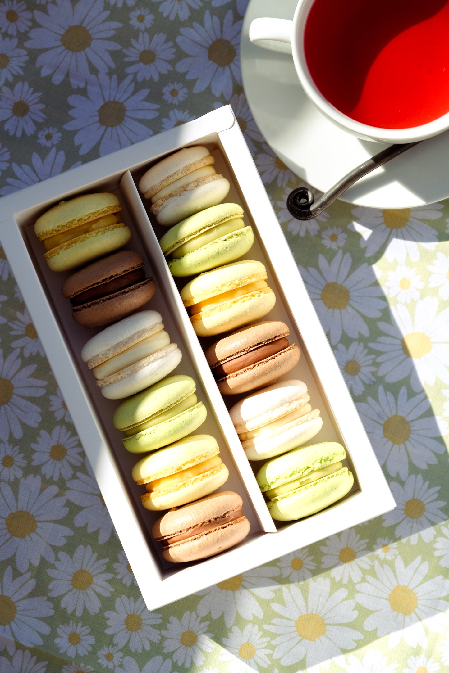 Box of 12 Macarons